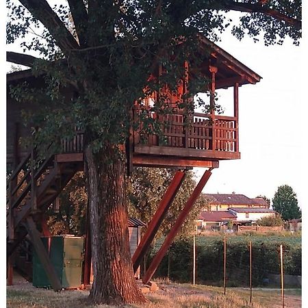 La Casa sull'albero Oasi Certosa di Pavia Villa Borgarello Esterno foto