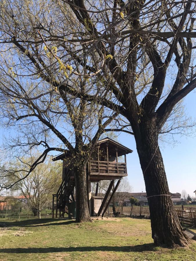 La Casa sull'albero Oasi Certosa di Pavia Villa Borgarello Esterno foto