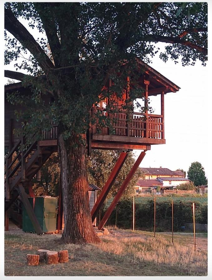 La Casa sull'albero Oasi Certosa di Pavia Villa Borgarello Esterno foto