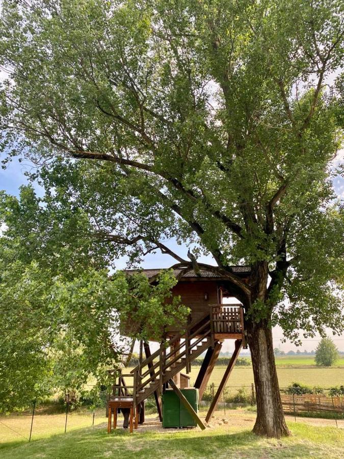 La Casa sull'albero Oasi Certosa di Pavia Villa Borgarello Esterno foto