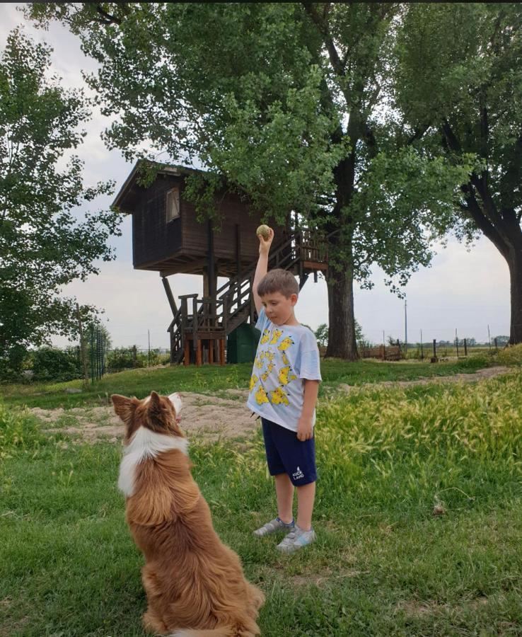 La Casa sull'albero Oasi Certosa di Pavia Villa Borgarello Esterno foto