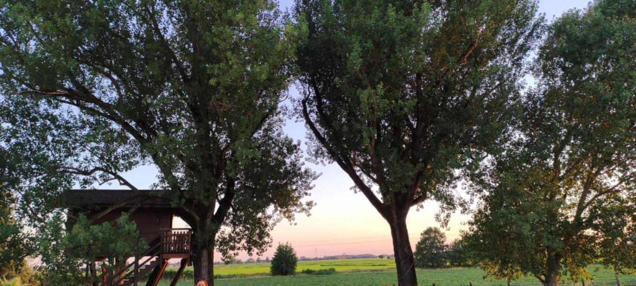 La Casa sull'albero Oasi Certosa di Pavia Villa Borgarello Esterno foto