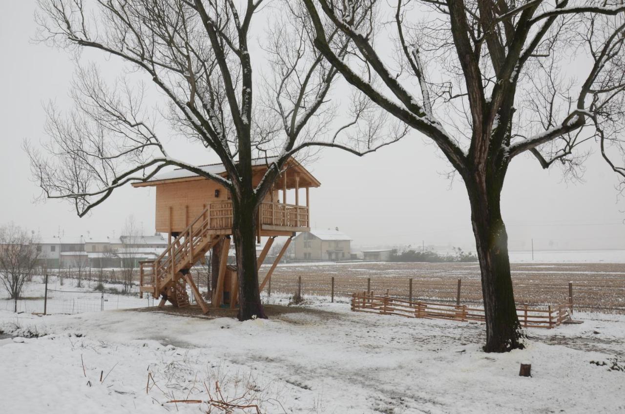 La Casa sull'albero Oasi Certosa di Pavia Villa Borgarello Esterno foto