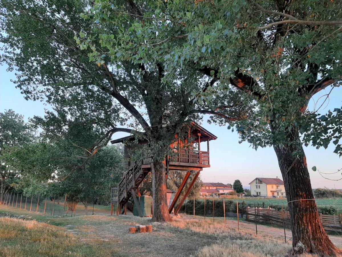 La Casa sull'albero Oasi Certosa di Pavia Villa Borgarello Esterno foto