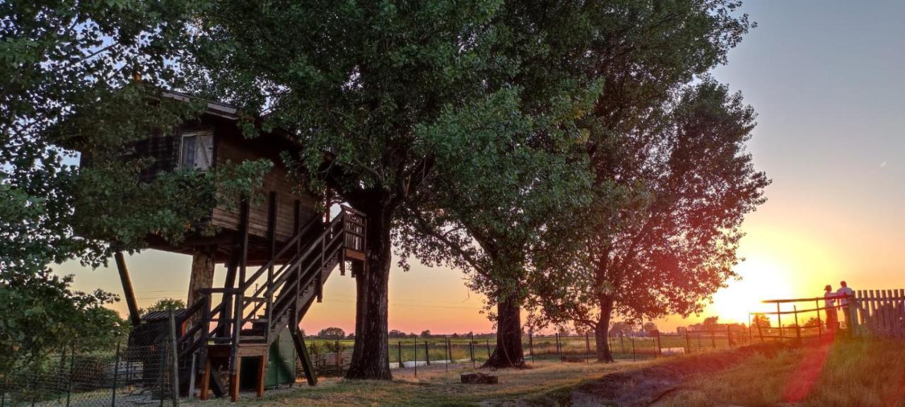 La Casa sull'albero Oasi Certosa di Pavia Villa Borgarello Esterno foto